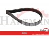 Pas wielorowkowy 8 PJ, 864 mm