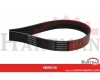 Pas wielorowkowy Optibelt, 8PK1230