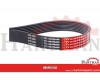 Pas wielorowkowy Optibelt, 8PK2450