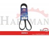 Pas wielorowkowy 8 PK, 920 mm