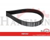 Pas wielorowkowy Optibelt, 8PL1562