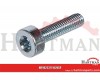 Śruba walcowa M5x20