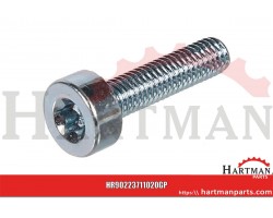 Śruba walcowa M5x20