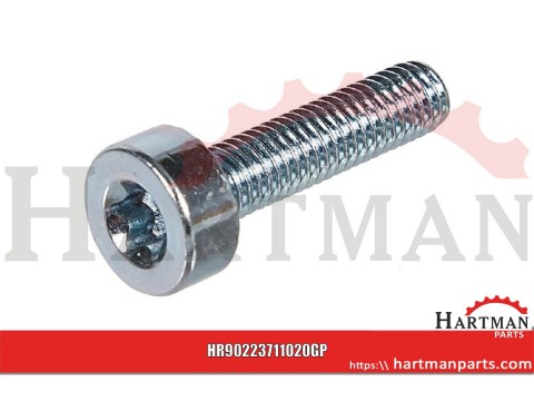 Śruba walcowa M5x20