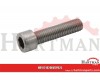 Śruba imbusowa A2 Kramp, M10 x 20 mm
