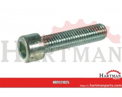 Śruba imbusowa M10x25 kl. 8.8