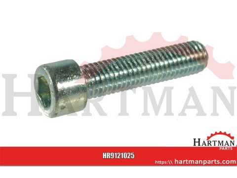 Śruba imbusowa M10x25 kl. 8.8