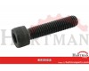 Śruba imbusowa kl. 8.8 Kramp, M10 x 25 mm