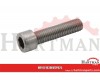 Śruba imbusowa A2 Kramp, M10 x 30 mm