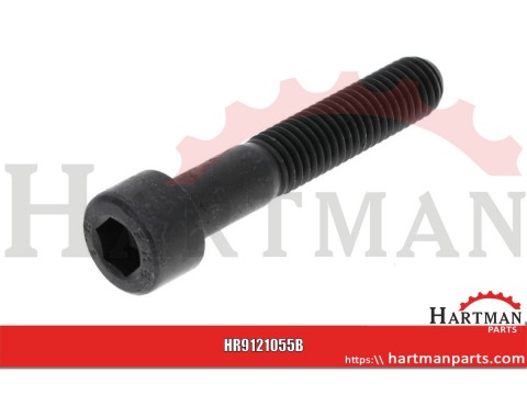 Śruba imbusowa kl. 8.8 Kramp, M10 x 55 mm