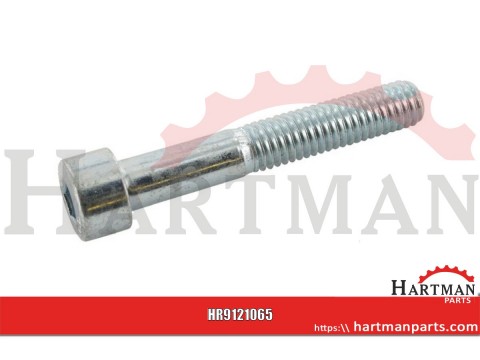 Śruba imbusowa M10x65 kl. 8.8