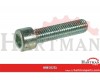 Śruba imbusowa M12x25 kl. 8.8