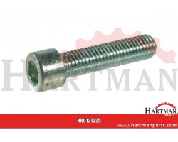 Śruba imbusowa M12x25 kl. 8.8