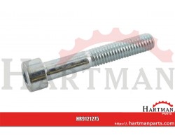 Śruba imbusowa M12x75 kl. 8.8