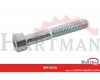 Śruba imbusowa M16x70 kl. 8.8