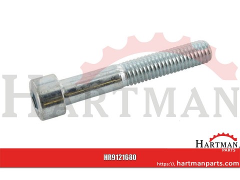 Śruba imbusowa M16x80 kl. 8.8