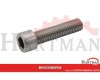 Śruba imbusowa A2 Kramp, M3 x 16 mm