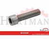 Śruba imbusowa A2 Kramp, M4 x 12 mm