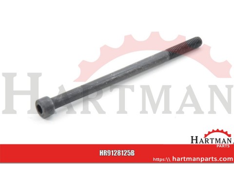 Śruba imbusowa kl. 8.8 Kramp, M8 x 125 mm
