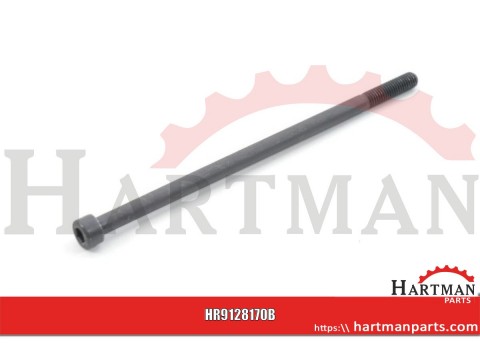 Śruba imbusowa kl. 8.8 Kramp, M8 x 170 mm