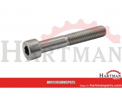 Śruba imbusowa A2 Kramp, M8 x 50 mm