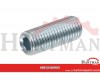 Wkręt dociskowy z końcem płaskim 45 H ocynk Kramp, M16 x 40 mm