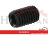Wkręt dociskowy z końcem wgłąbionym 45H Kramp, M10 x 16 mm