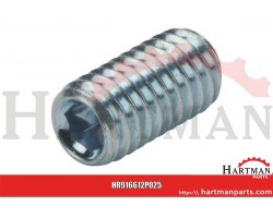 Wkręt dociskowy z końcem wgłąbionym 45H ocynk Kramp, M6 x 12 mm