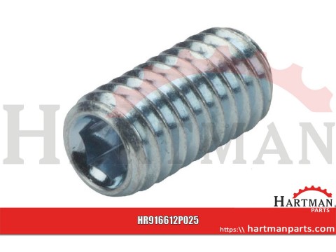 Wkręt dociskowy z końcem wgłąbionym 45H ocynk Kramp, M6 x 12 mm