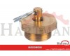 Drain valve