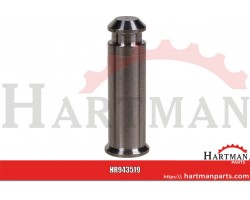 Sworzeń RD 10278 12h9x36
