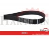 Pas wielorowkowy 9 PJ Optibelt, 914