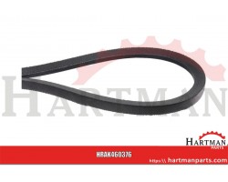 Pasek klinowy RM 46