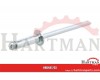 Nit zrywalny stal/stal z łbem płaskim, 4 x 12 mm