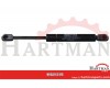 Sprężyna gazowa 245mm 500N typ C Stabilus