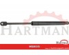 Sprężyna gazowa 307mm 250N typ B Stabilus