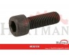 Śruba M10x30 mm
