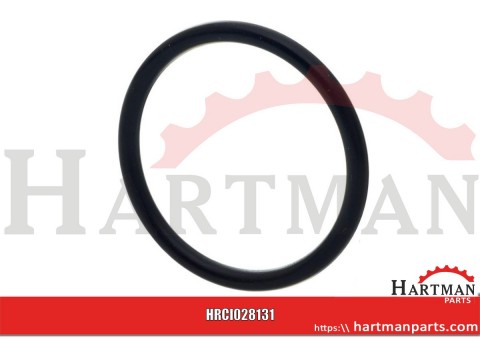 Pierścień uszczelniający o-ring