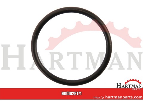 Pierścień uszczelniający O-ring