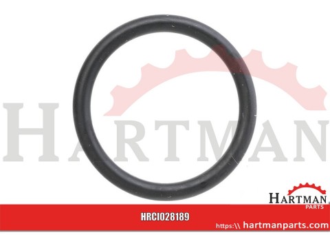 Pierścień uszczelniający o-ring