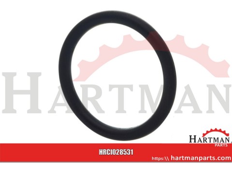 Pierścień uszczelniający o-ring