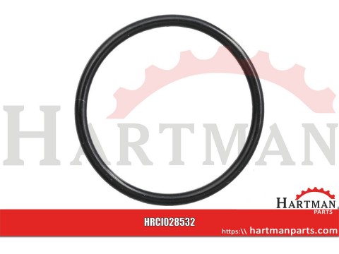 Pierścień uszczelniający o-ring