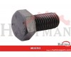 Śruba M12x25