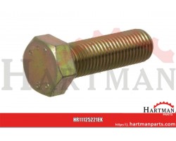 Śruba M20x75 kl.8.8