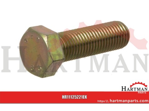 Śruba M20x75 kl.8.8