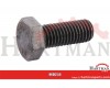 Śruba z łbem sześciokątnym kl. 10.9, 12 x 30 mm