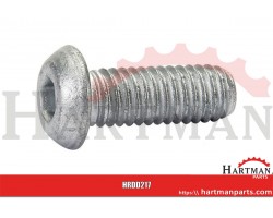 Śruba kl. 10.9 , DIN 7380 6 x16 mm
