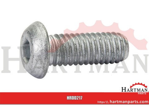 Śruba kl. 10.9 , DIN 7380 6 x16 mm
