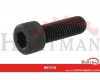 Śruba M10x30,10