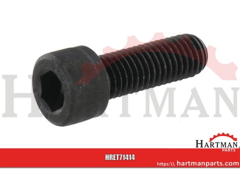 Śruba M10x30,10